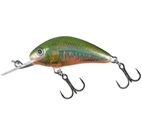 Salmo Wobbler Hornet sinkend 3,5 cm Holo Oikawa