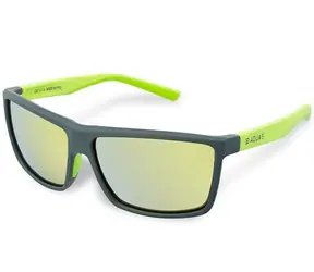 Delphin Polarisierte Brille SG AQUAS