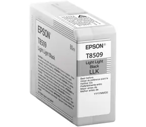 Epson Originalkartusche T850900 UltraChrome HD Feuerzeug schwarz / 80ml 