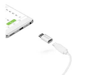 SBS-Adapter Micro-USB auf Typ C