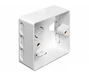 DeLock Wanddose für Keystone / auf Putz