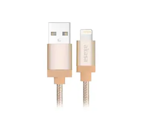 Akasa Adapter USB 2.0 A auf Lightning / 100 cm