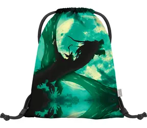 BAAGL Schulschuhtasche Drache / 46x36 cm