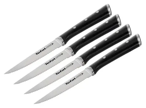TEFAL K232S414 Ice Force / Steakmesserset / 4-teilig / 11 cm / Edelstahl