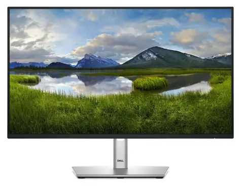 23,8" DELL P2425H, schwarz / Monitor / IPS / FHD / 100 Hz / HDMI + DP