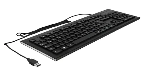 DeLock Water-Drop schwarz / Tastatur / Kabelgebundenes USB / QWERTZ-Tastatur / Nummernblock