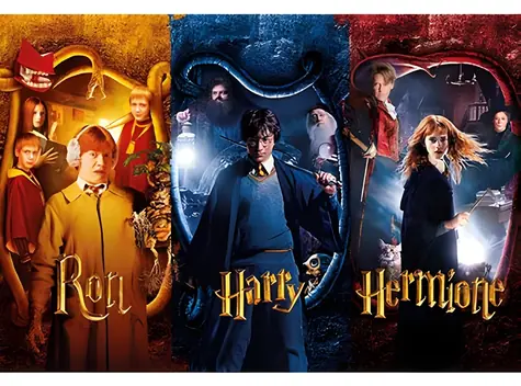 ThumbsUp! Puzzle Harry Potter und die Kammer des Schreckens / 50 Teile