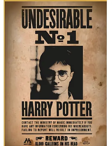 Daumen UP! Puzzle Harry Potter - Gesucht Nr. 1 / 50 Teile / für Erwachsene und Kinder