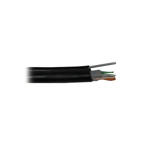 Planet FTP-Kabel Cat5e für den Außenbereich / Netzwerkkabel / Draht / 4 Adernpaare / PE+PVC-Doppelmantel / Stahldraht / Meterware