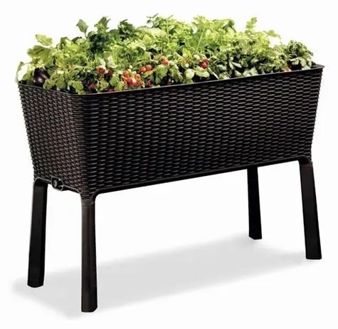 Keter Easy Grow whiskeybrauner Blumentopf