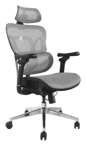Ergonomischer Bürostuhl Equip , grau / Bürostuhl / Netzgewebesitz / Kopfstütze / Belastbarkeit 150 kg