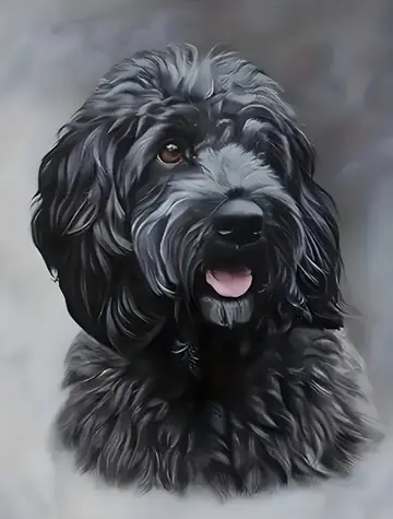 Norimpex Diamantmalerei Schwarzer Cockapoo / 30x40 cm