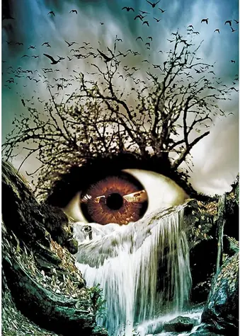 Norimpex Diamantmalerei Auge / 30x40 cm