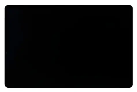 Ersatz-LCD-Display + Touchscreen für Samsung Galaxy Tab S9 WiFi/5G (X710/X716) Graphit / Service Pack