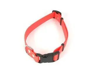 Fenica Halsband iQsil orange / Hundehalsband / 25 x 38-62 cm