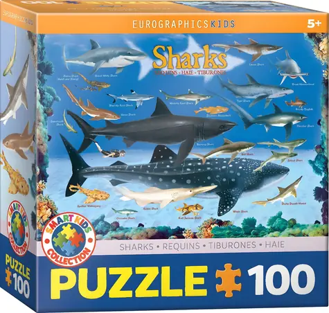 EUROGRAPHICS Puzzle Haie / 100 Teile / ab 5 Jahren / 48,3 x 33 cm
