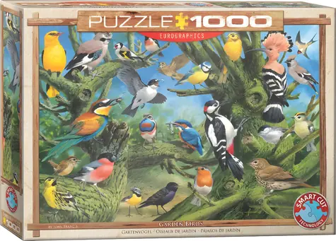 EUROGRAPHICS Puzzle Vögel im Garten / 1000 Teile / 67,63 × 48,89 cm