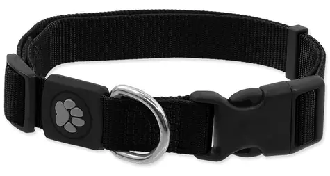 Active Dog Premium Halsband, schwarz, Größe XS / Für Hunde / Nylon / 21-30 cm