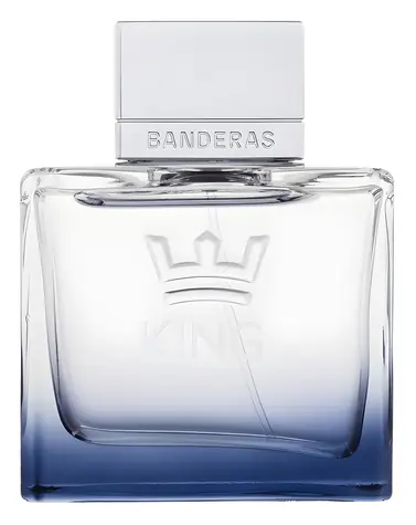 Banderas King of Seduction Eau de Toilette 100 ml