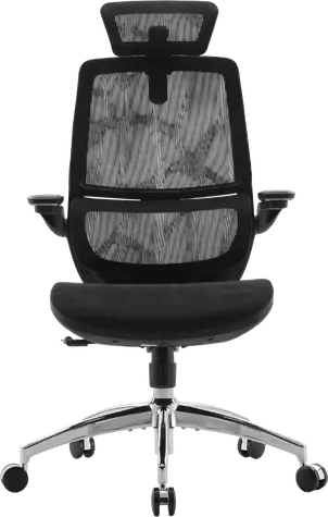 Sihoo M59AS-M302 schwarz / Bürostuhl / Netzgewebe / ergonomische Rückenlehne