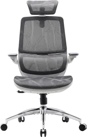 Sihoo M59AS-M301 grau / Bürostuhl / Netzgewebe / ergonomische Rückenlehne