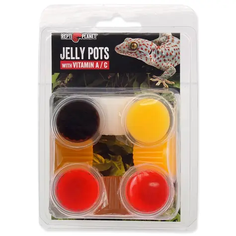 Repti Planet Feed Jelly Pots Gemischt 8 Stück