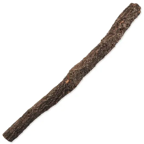 Repti Planet Korkast L 60-90 cm