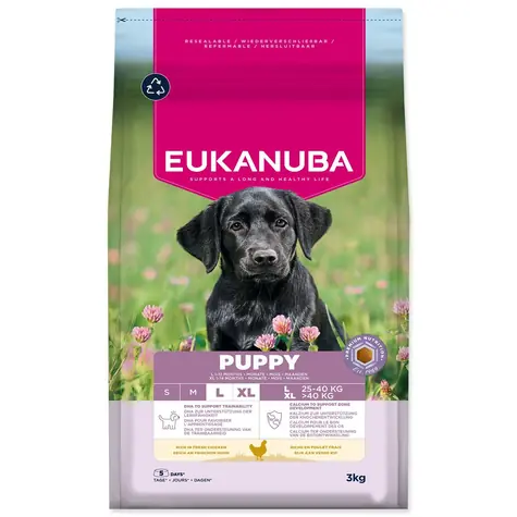 Eukanuba Puppy Large reich an frischem Huhn 3kg / Granulat für Welpen / für große Rassen 