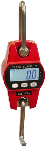 Format1 OCS-300 / Digitale Hängewaage 100 kg