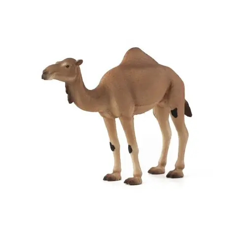 Mojo Animal Planet Camel / ab 3 Jahren