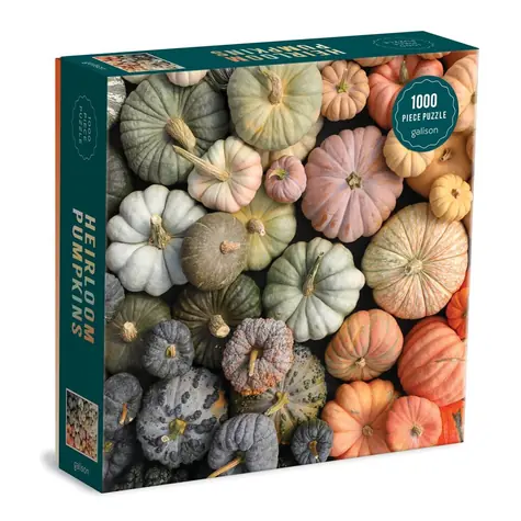 Galison Puzzle Zierkürbisse / 1000 Teile / ab 8 Jahren
