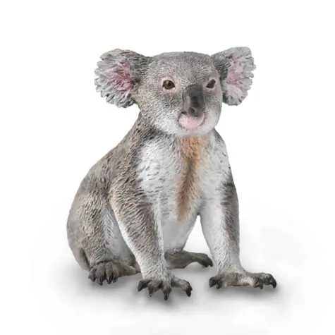 Collecta Koala / ab 3 Jahren