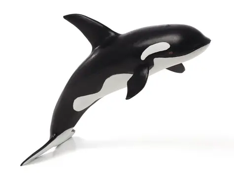 Mojo Animal Planet Kosatka deluxe / ab 3 Jahren