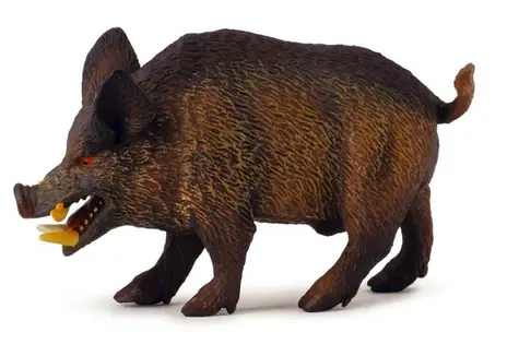 Collecta Schwein Wildschwein / ab 3 Jahren