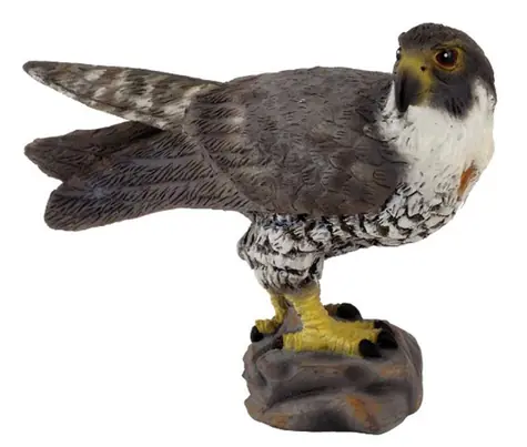 Collecta Wanderfalke / ab 3 Jahren