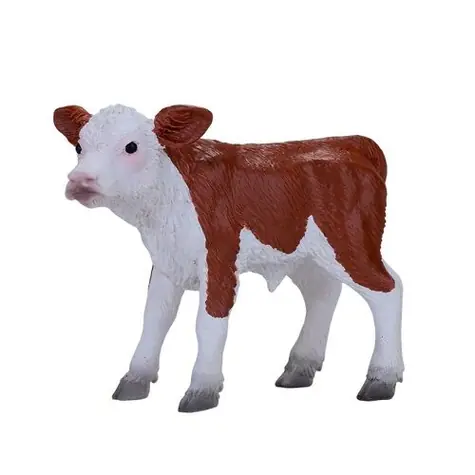 Mojo Hereford Kalb / ab 3 Jahren