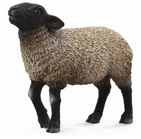 Collecta Schafe Suffolk / ab 3 Jahren