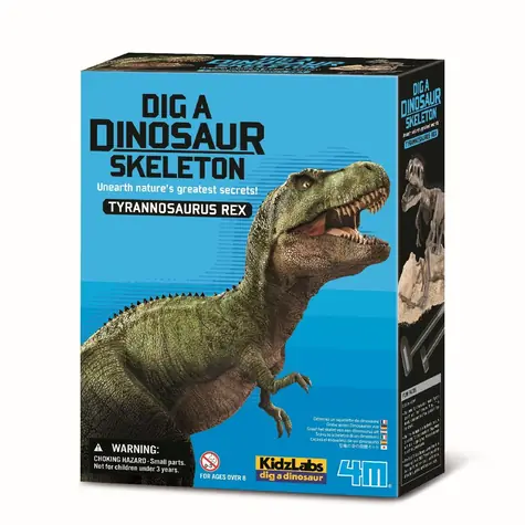 4M Dinosaurier-Skelett - REX / ab 8 Jahren