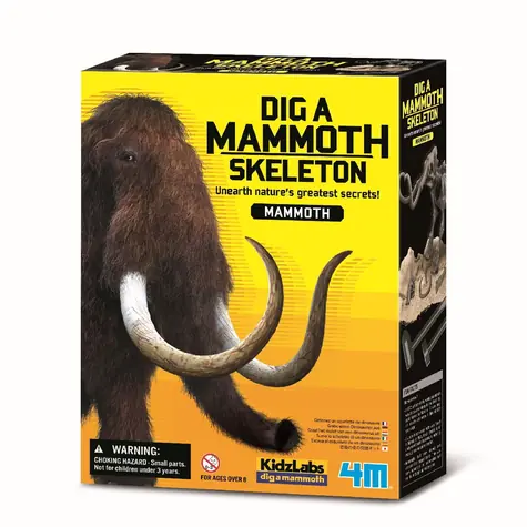 4M Skelett - Mammut / ab 8 Jahren