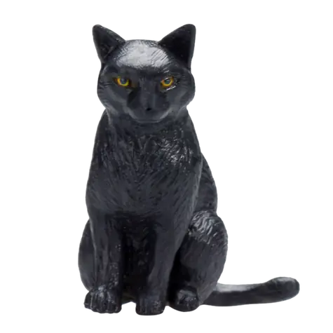 Mojo Black Cat sitting / ab 3 Jahren