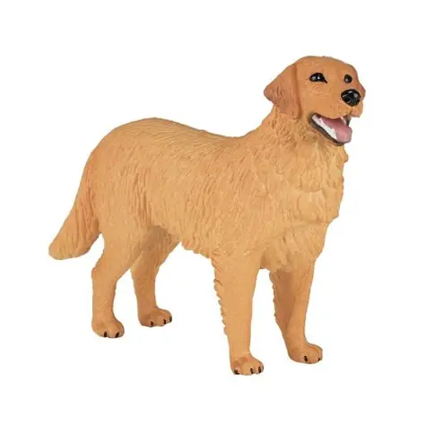 Mojo Golden Retriever / ab 3 Jahren