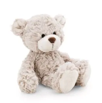 Nici Plüschbär Finni 20 cm / Grüne Kollektion / ab 3 Jahren