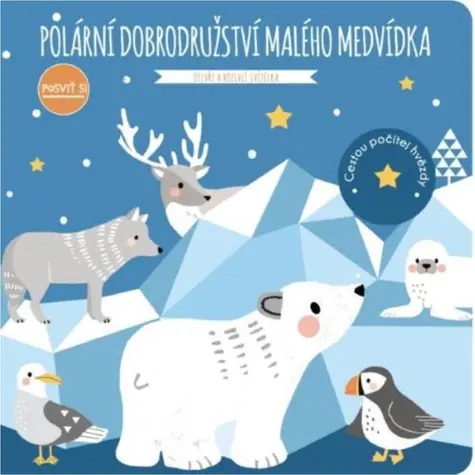 Svojtka & Co. Light up: Little Bears Polar Adventure / ab 3 Jahren