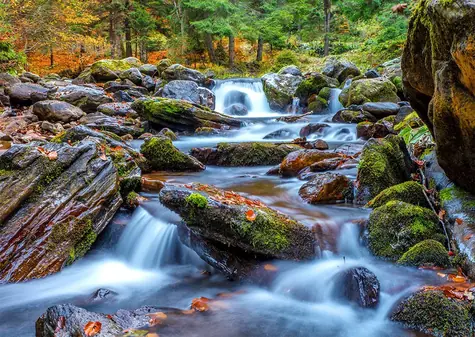 ENJOY Puzzle Waldfluss im Herbst / 1000 Teile / ab 14 Jahren
