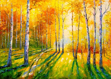 ENJOY Puzzle Birch Grove / 1000 Teile / ab 14 Jahren