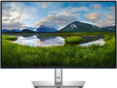 21,5" DELL P2225H silber / IPS / 1920x1080 / 16:9 / 5ms / 1500:1 / 250cd-m2 / HDMI + VGA + DP / VESA / USB HUB
