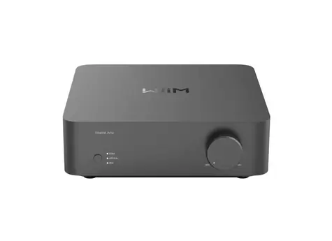 WiiM Vibelink Amp grau / Verstärker / 100 W/Kanal / RCA / Koaxial / optischer Eingang