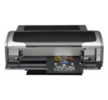 Epson Stylus Photo R1800 / ink