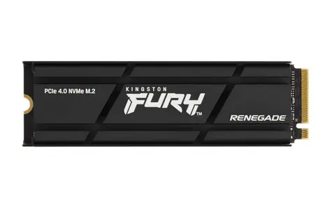 Kingston FURY Renegade 2 TB mit Kühler / M.2 2280 / M.2 PCI-E NVMe Gen4