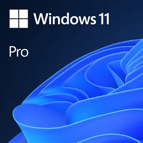 Windows 11 Pro / elektronische Lizenz / Tschechisch / für 1 PC, nicht übertragbar - nur beim Kauf eines neuen PCs erhältlich